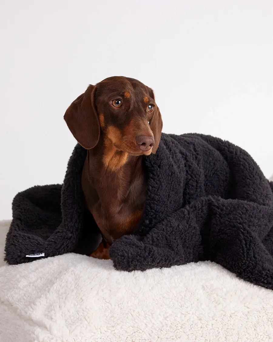 Faux Fur Pet Blanket - Charcoal