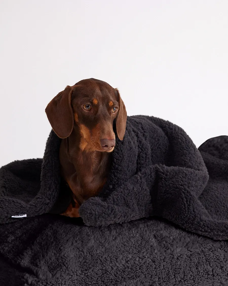 Faux Fur Pet Blanket - Charcoal