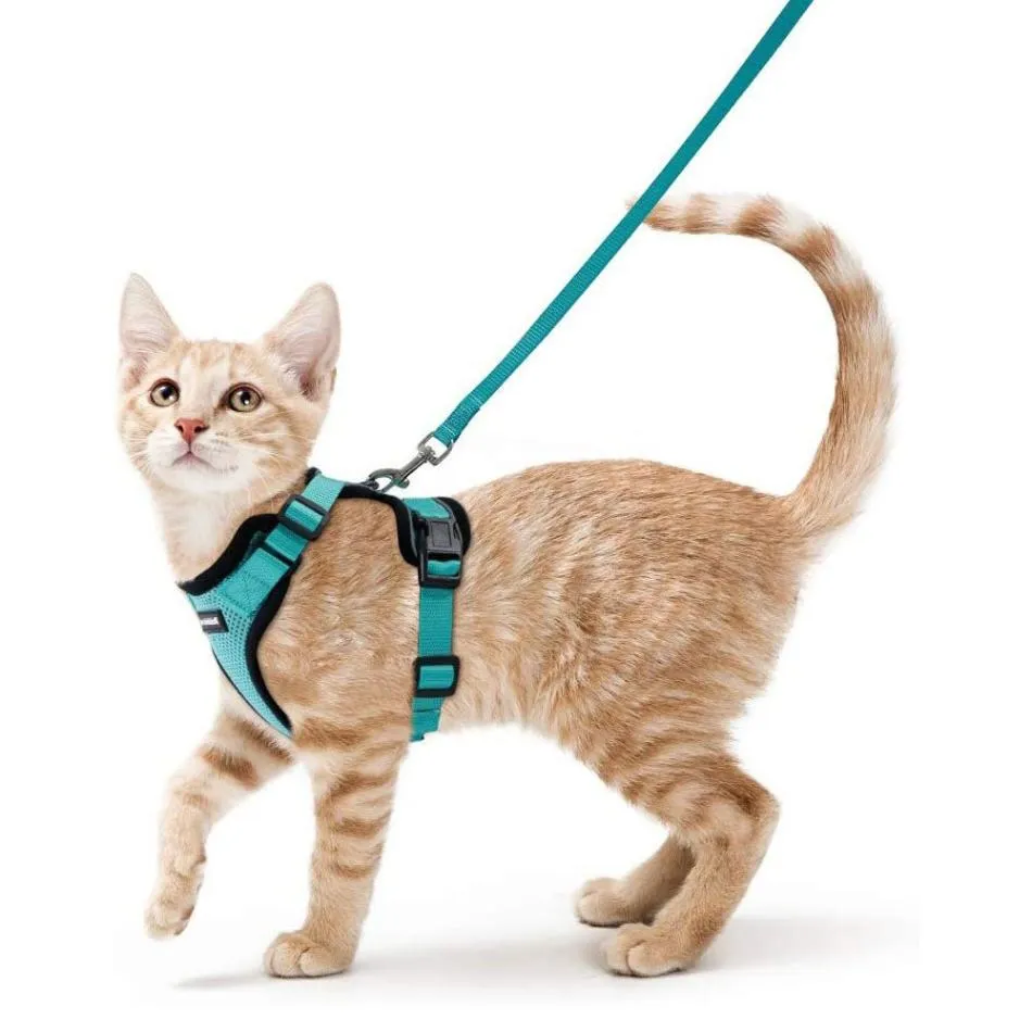 Reflective Cat Harness & Leash Set - Safe and Stylish Walks!